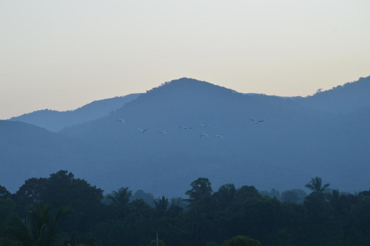 Apartmán Ridge Boundary View Dambulla Exteriér fotografie