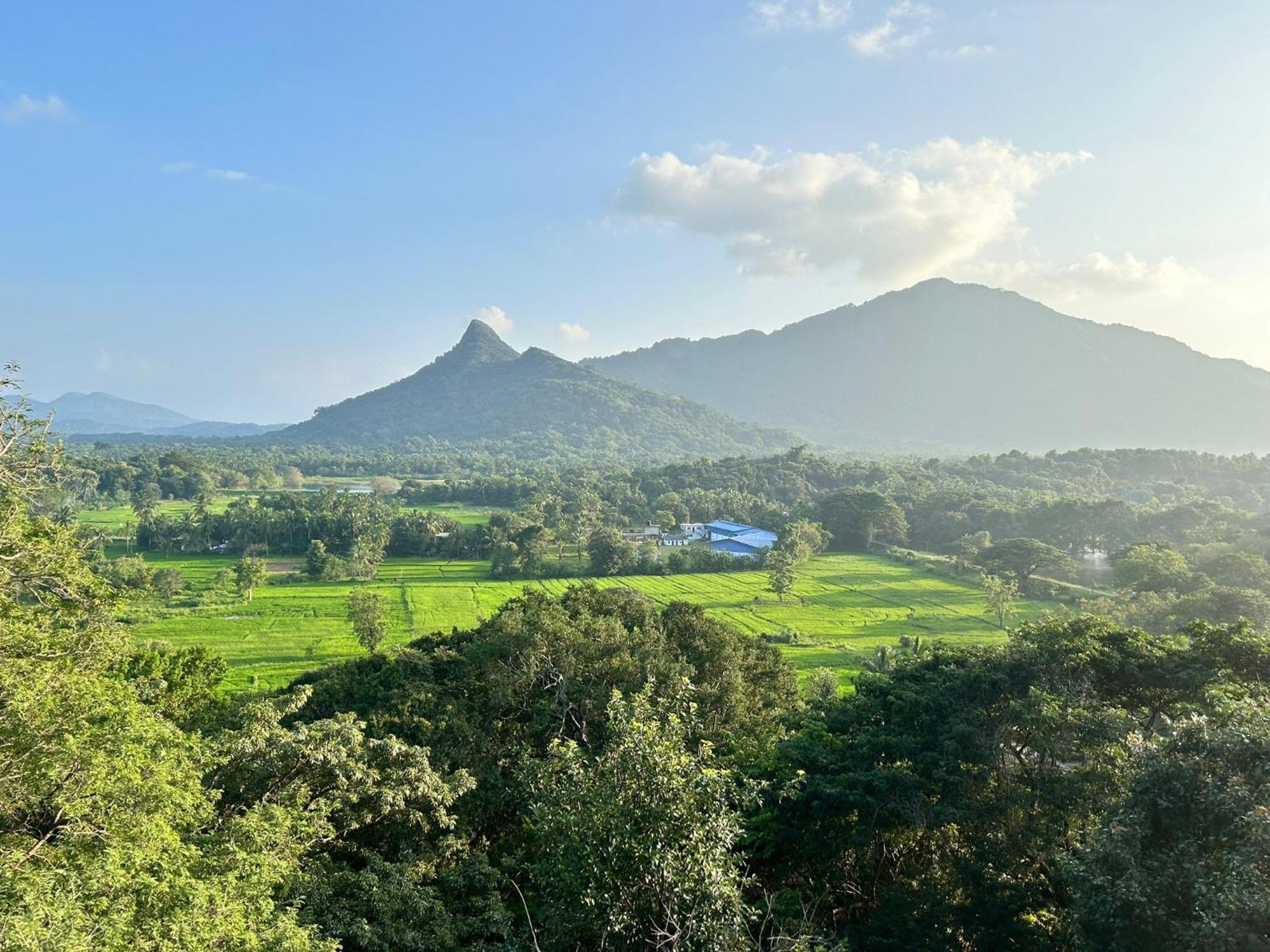 Apartmán Ridge Boundary View Dambulla Exteriér fotografie