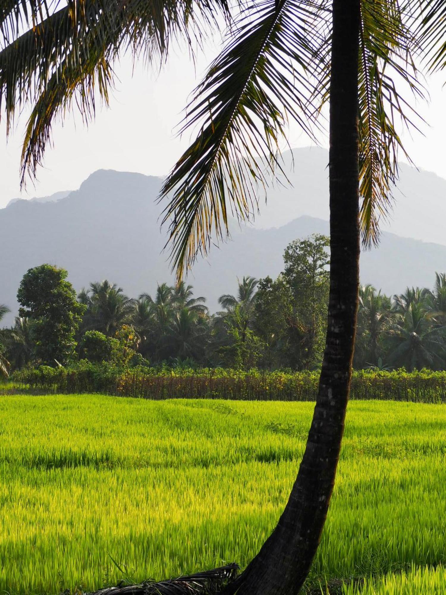 Apartmán Ridge Boundary View Dambulla Exteriér fotografie
